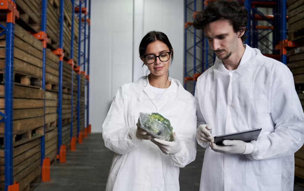 fatores que aumentam valor de planilhas excel